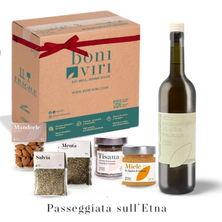 Passeggiata sull'Etna